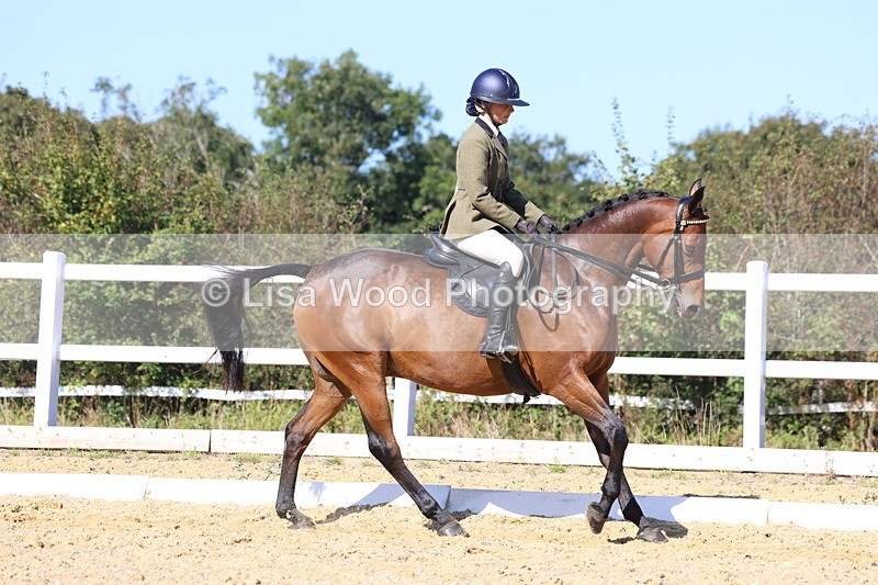 3E7A5714 - Class 10: Riding Horse