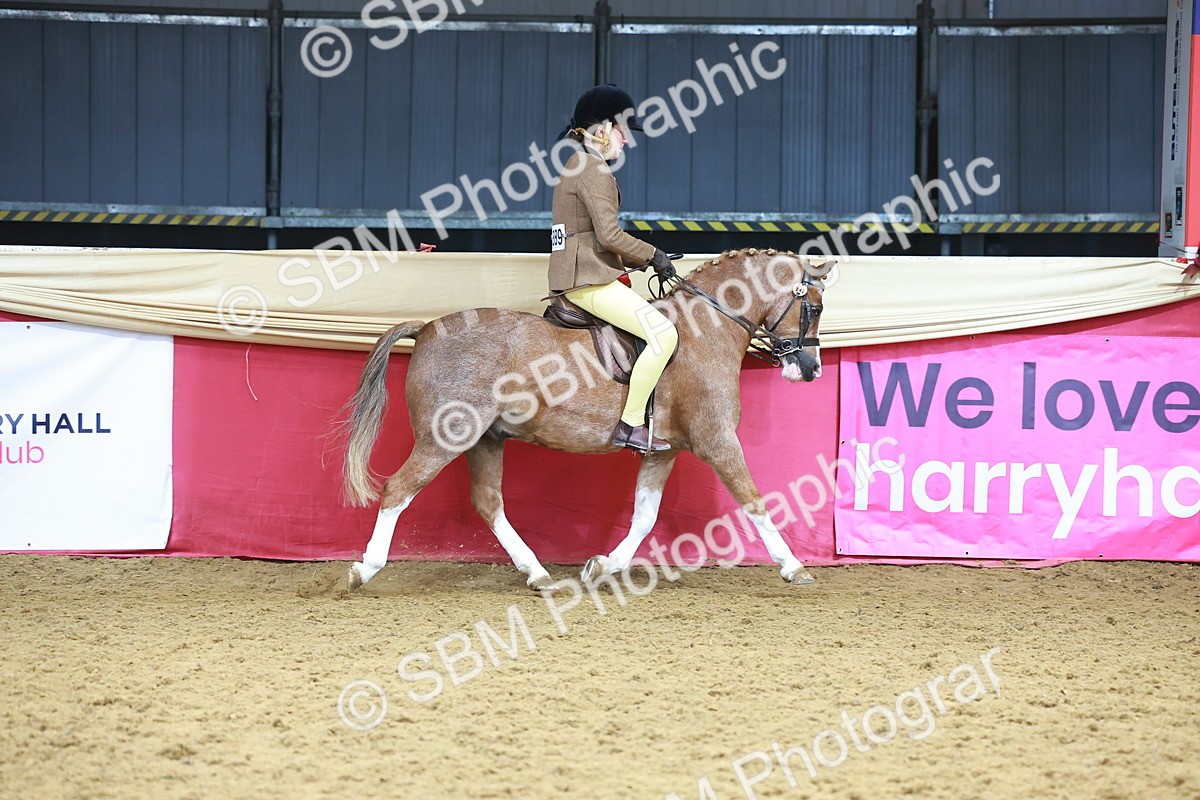 SBM_12410 - Class 103 - HOYS Veteran Qualifier - Ridden Pre Vet