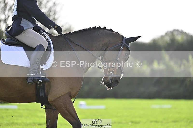 241025-114258-06907 - 369-Carolyn.Price-I.WISH.ANDY