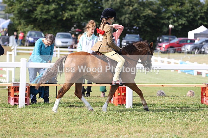 JPP_0522 - Class 15: Cornish Combination First Ridden