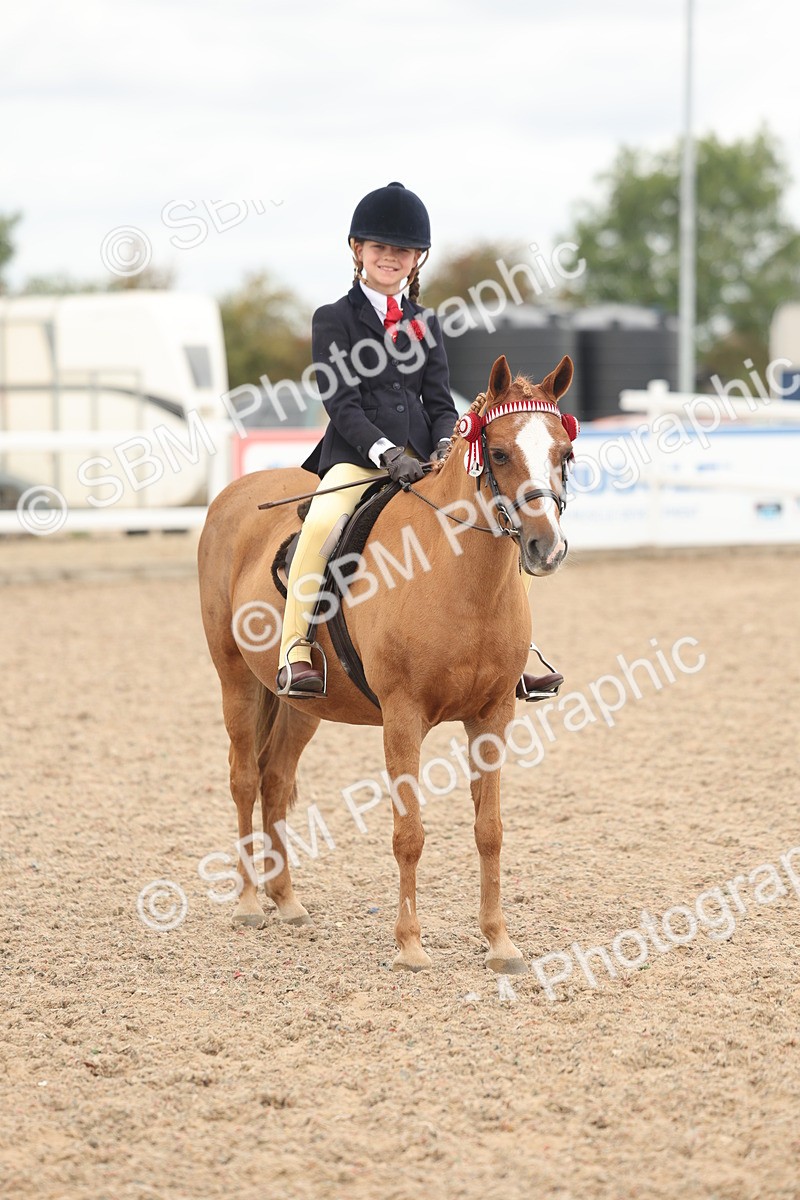 SBM_16049 - Class 311 - Ridden Show pony-Show hunter Pony