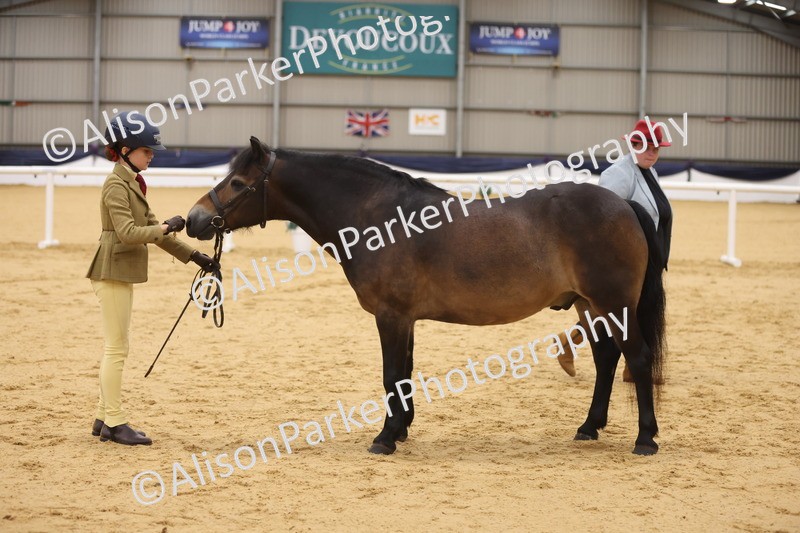 20260913-1118 - Class 110 - Bred In Other In Hand