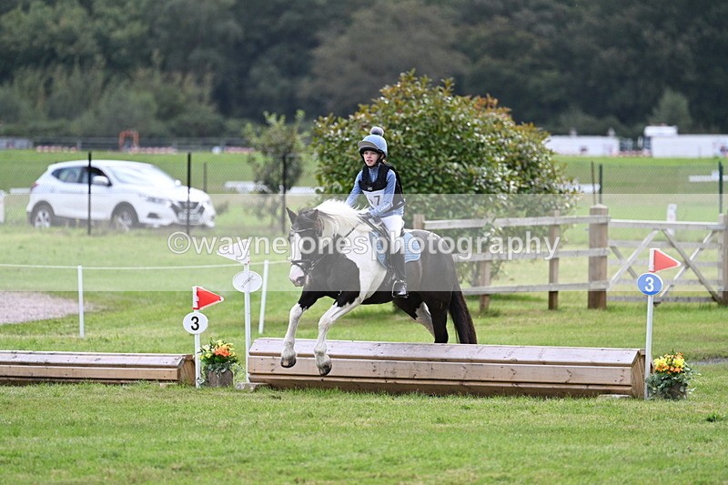 WJ7_9009 - 60cm Time 12:31 to 12:50