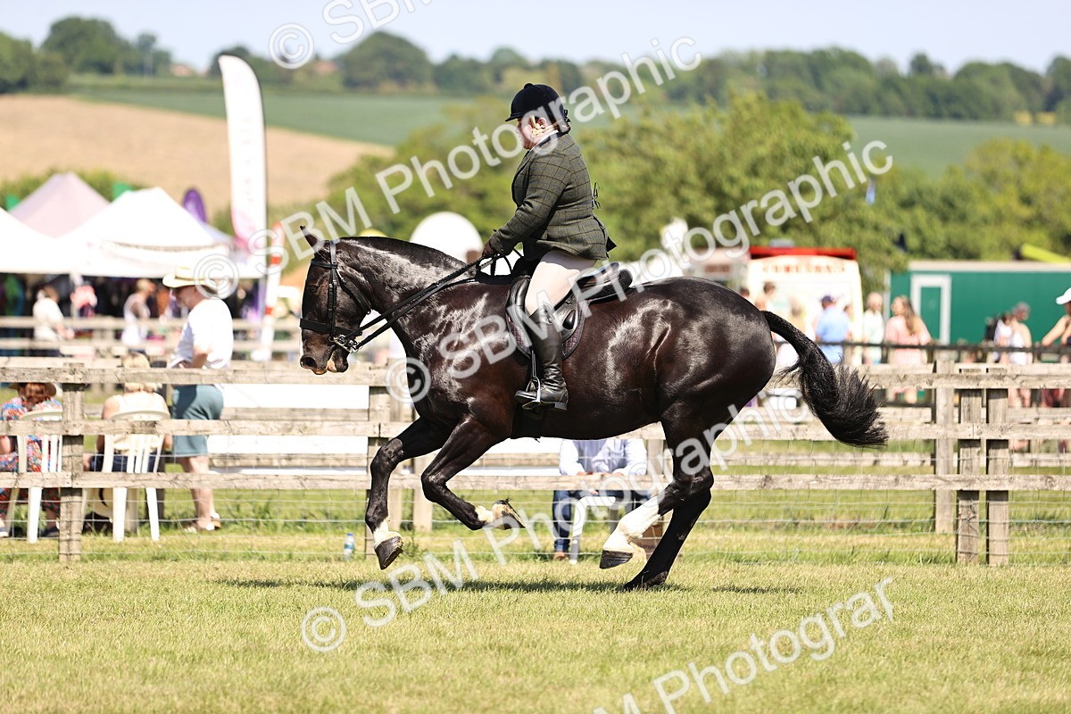 SBM_17913 - Class 81-83 - TSR Ridden Amateur of the Year - Horses