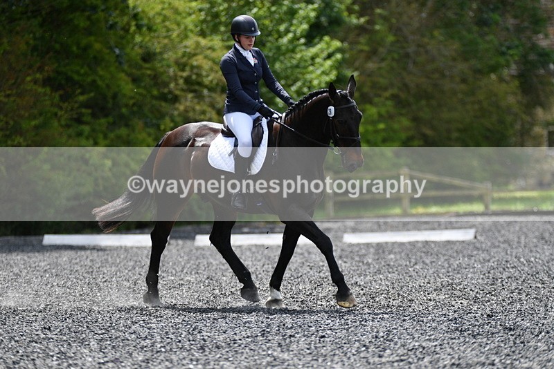 WJ5_0486 - Time 12:24 to 13:01