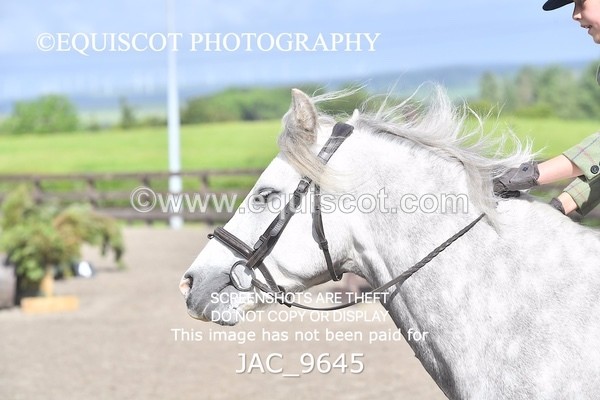 JAC_9645 - CLASS 1 Nursery Novice Working Hunter (0.50m)