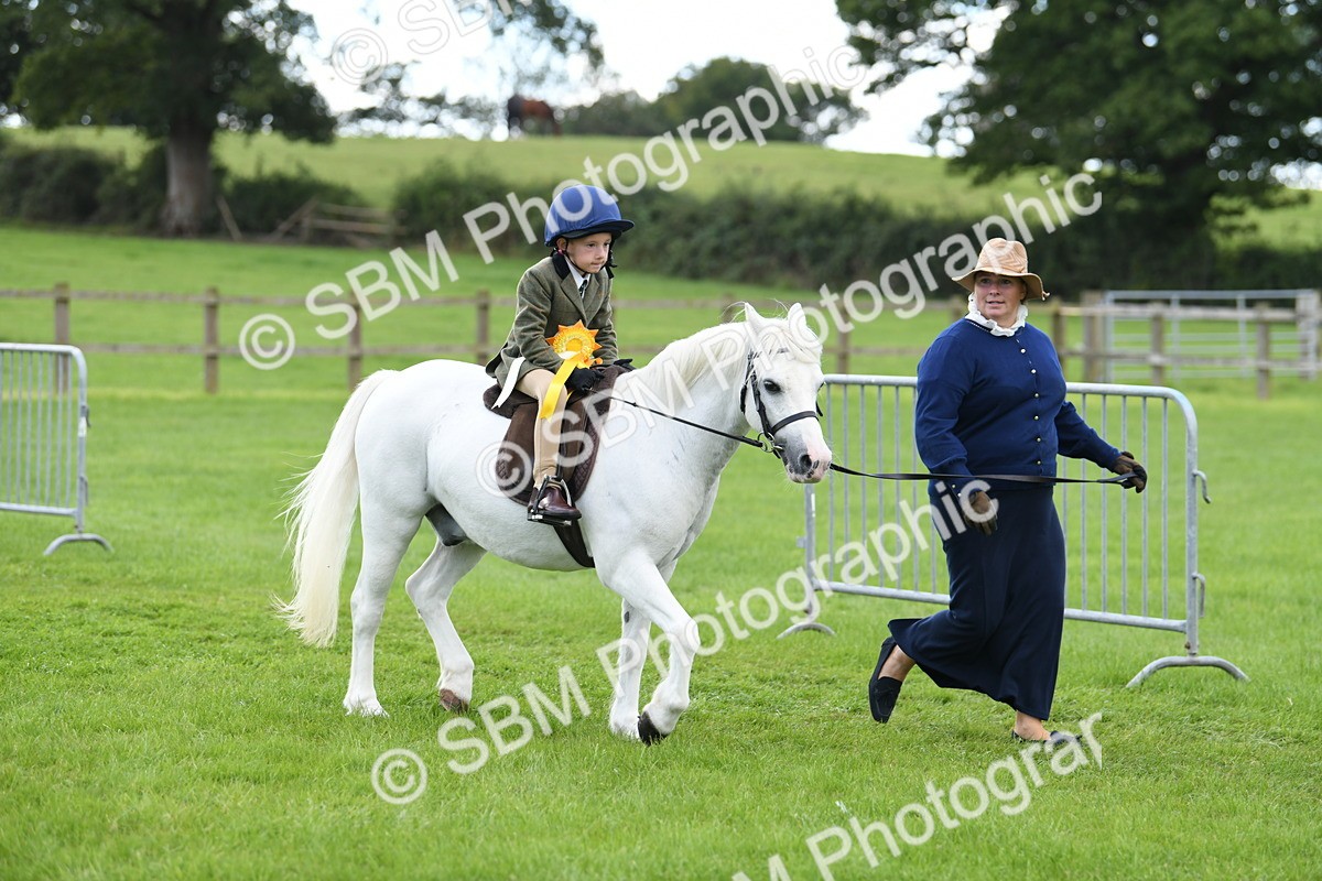 SBM_42716 - S20 - Lead Rein Mountain & Moorland Pony