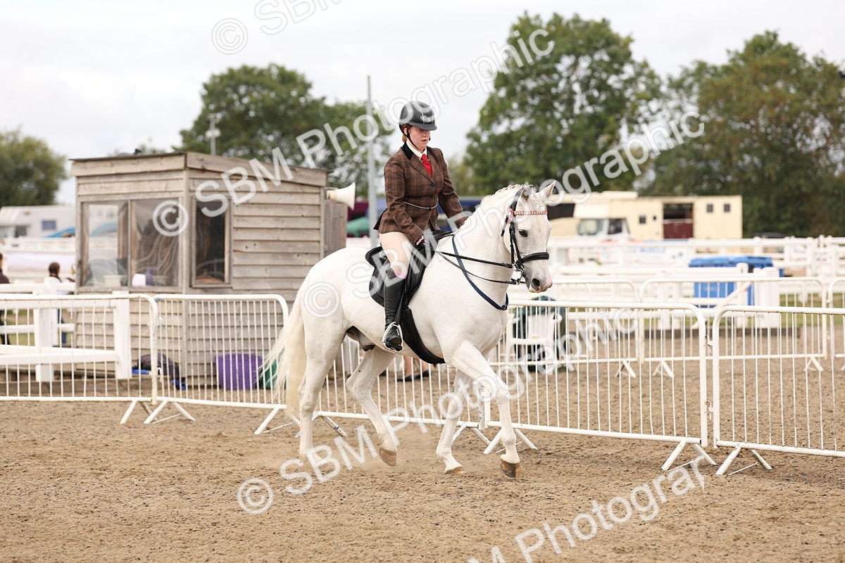 SBM_02803 - Class 53 - Ridden Competition Horse/Pony