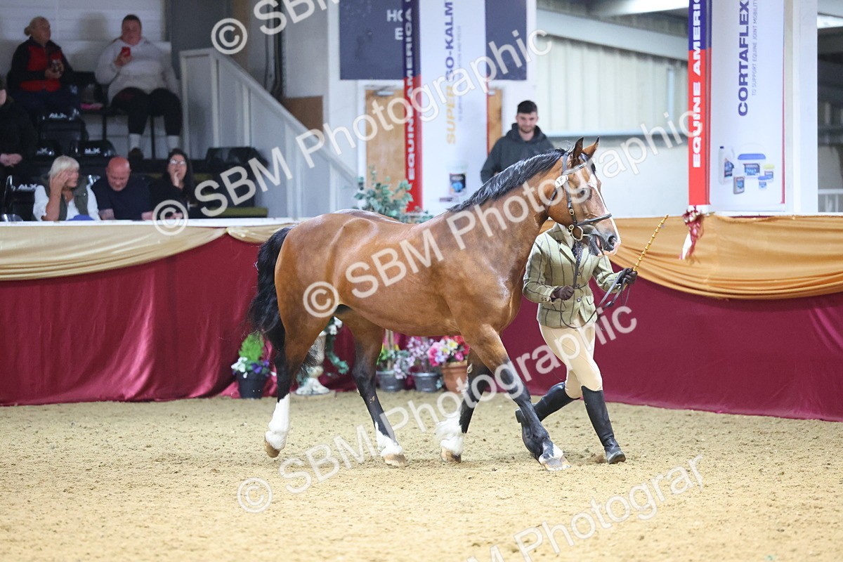 SBM_22793 - Class 903 - Supreme Final - IH Pre Vet
