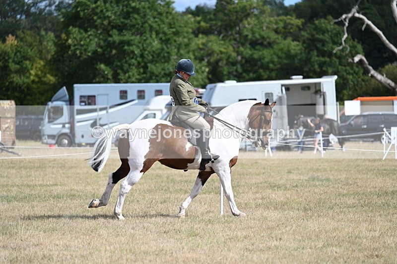 WJ7_7462 - Class 14 Ridden Coloured