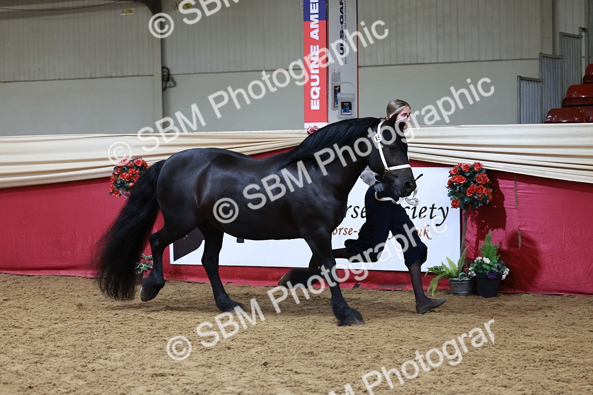 SBM_17395 - Class 951 - M&M IH Supreme Final