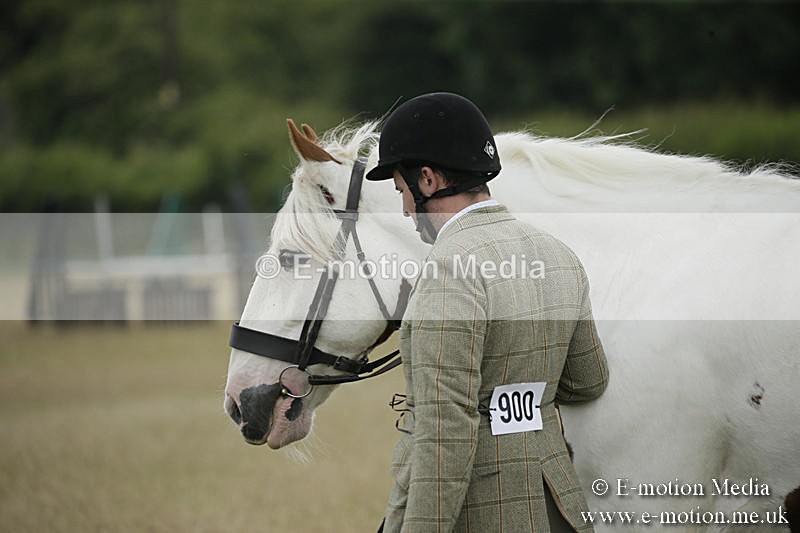 B230619-0680 - Bourne Valley Riding Club Summer Show 23/06/19