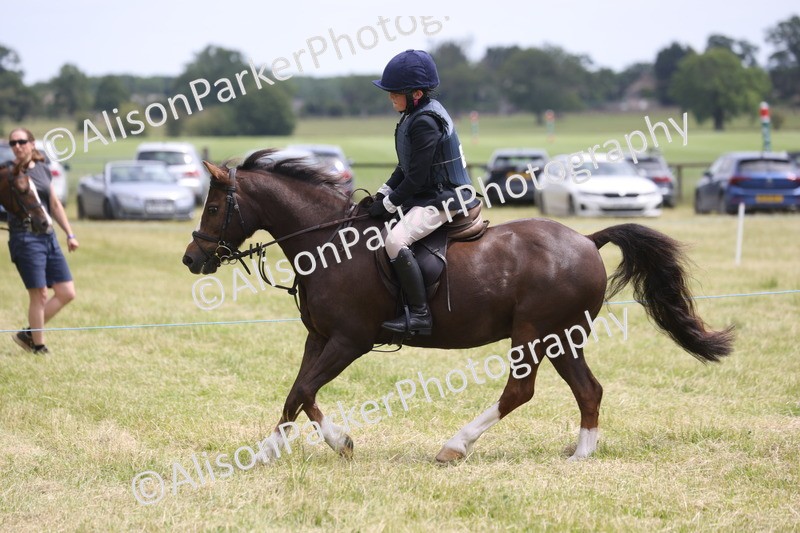20260614-2800 - Class 22 - Open Working Hunter