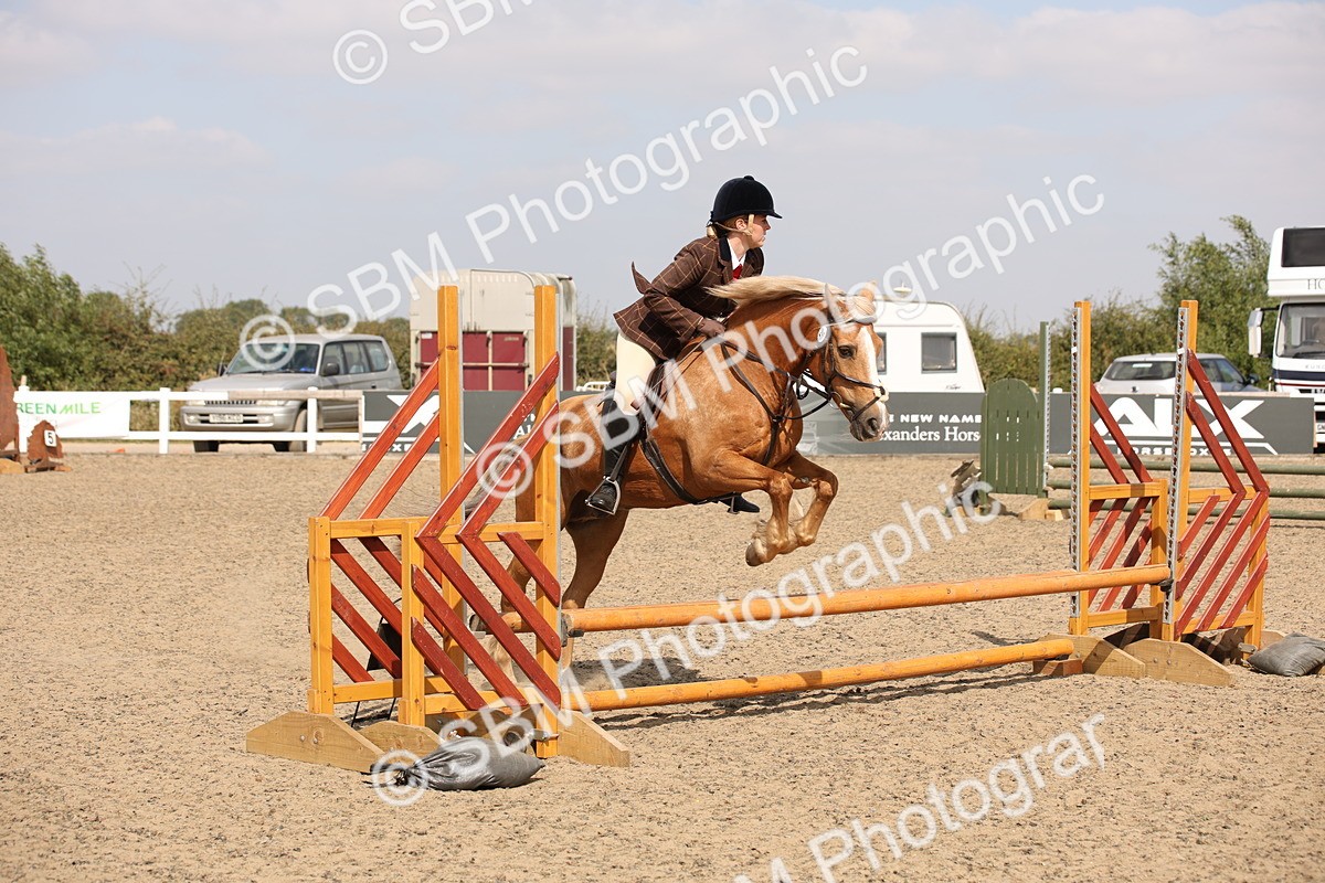 SBM_14306 - Class 407b - Working Veteran 60cm (20+)