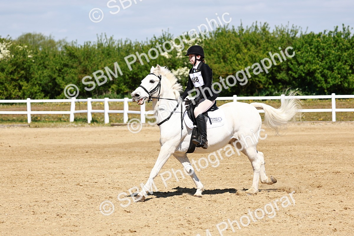 SBM_007650 - Class 3 - 60cm