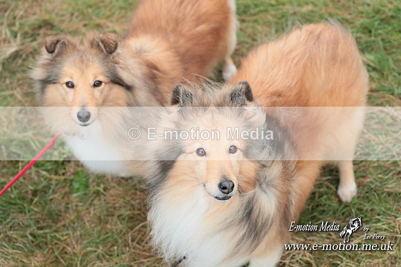 PtP 040224 676 - Combined Services Point-toPoint Larkhill 04/02/24