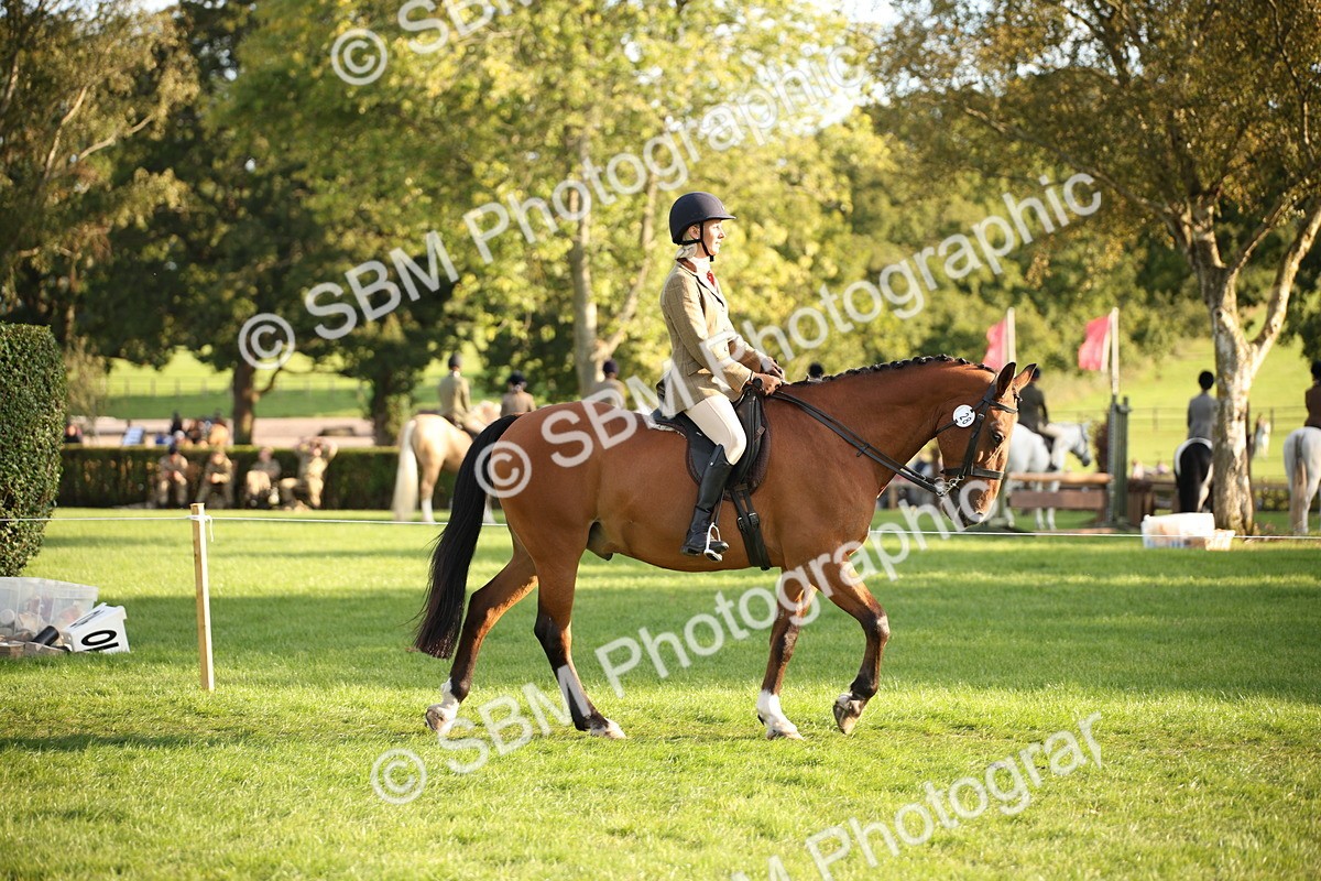 SBM_54379 - S27 - Mature Veteran - Ridden