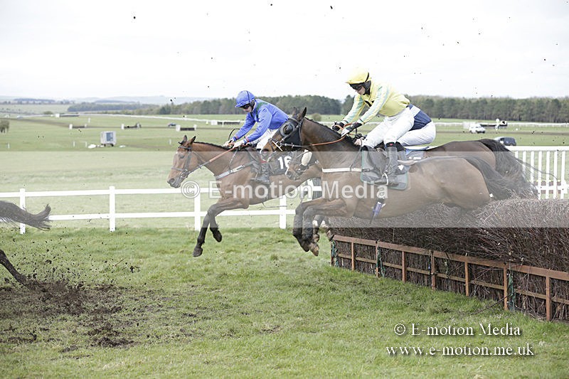 PtP 150320 0679 - New Forest Point-to-Point Larkhill 15/03/20