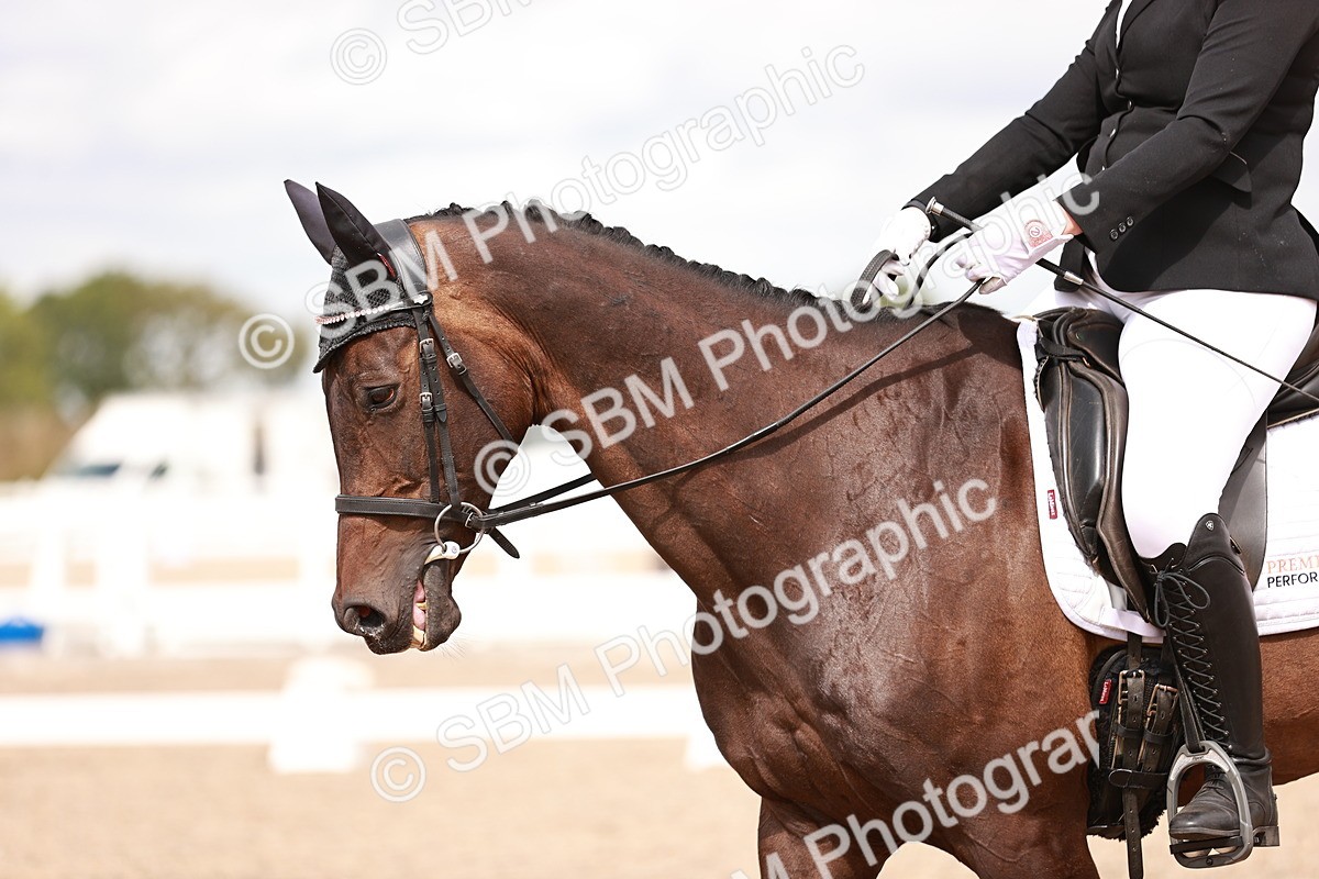 SBM_06286 - Class 37 - Novice 5