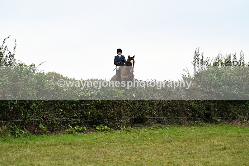 WJ7_4085 - Camera 1 Line 2