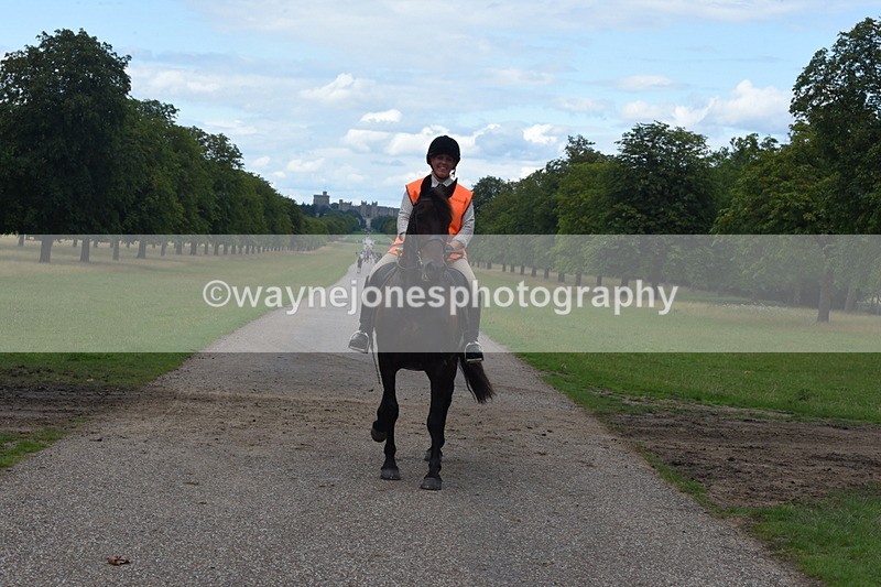 TT3_0550 - Time at Crossing 14:53 to 1526