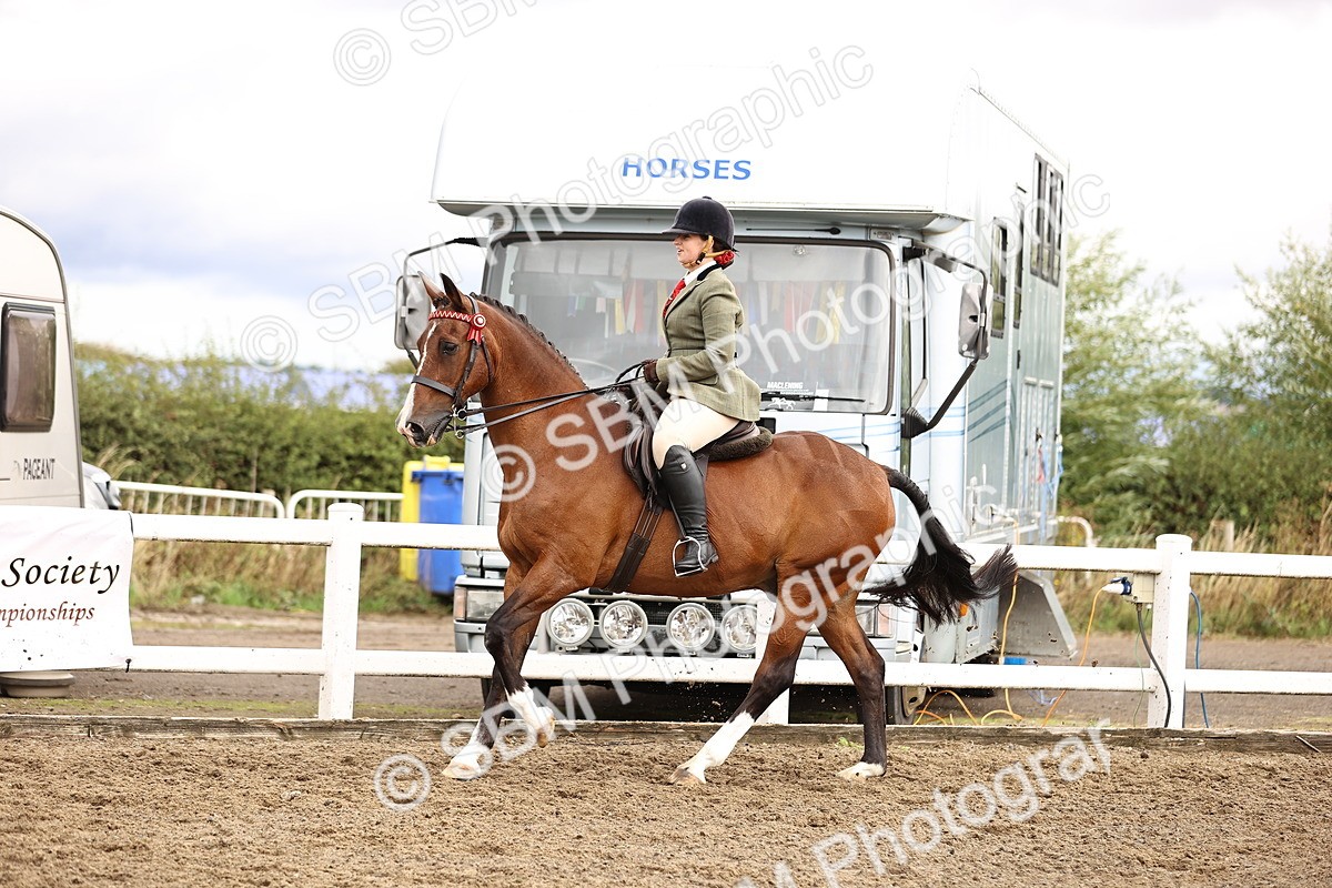 SBM_00595 - Class 53 - Ridden Competition Horse Pony