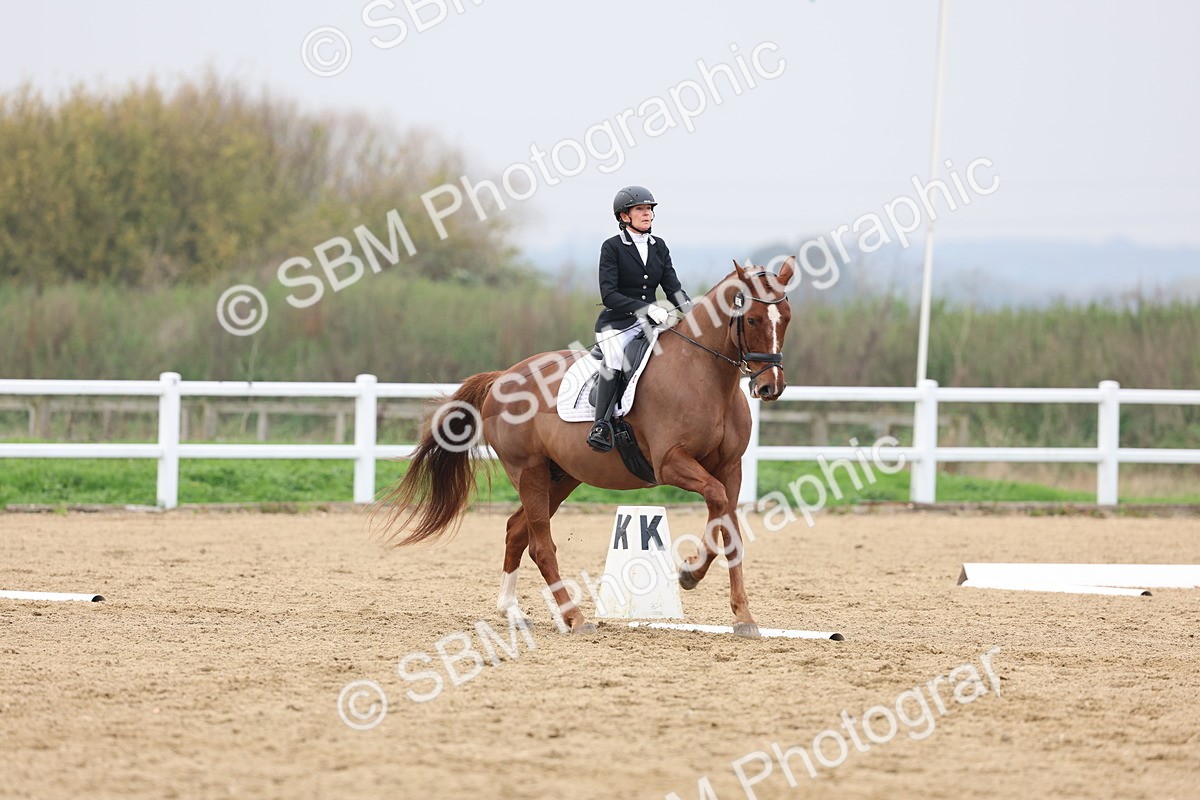 SBM_008432 - Class 11 - Medium 5