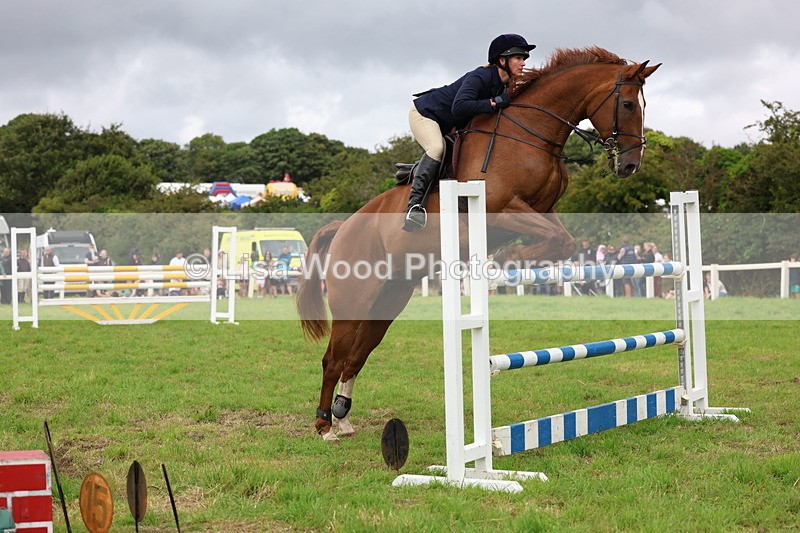 3E7A8599 - Class 8: Senior Foxhunter/1.20m open