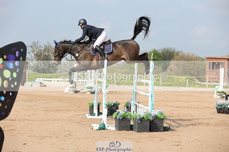 250424-102830-03035 - Cls 33 Young Horse 7yr old