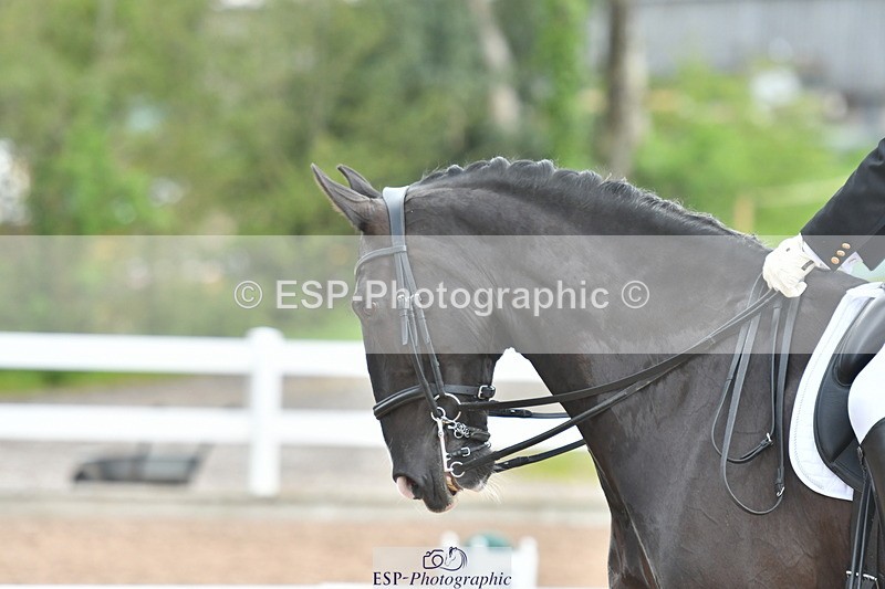 230511A-161438-01317 - BD Cls 18 FEI PSG