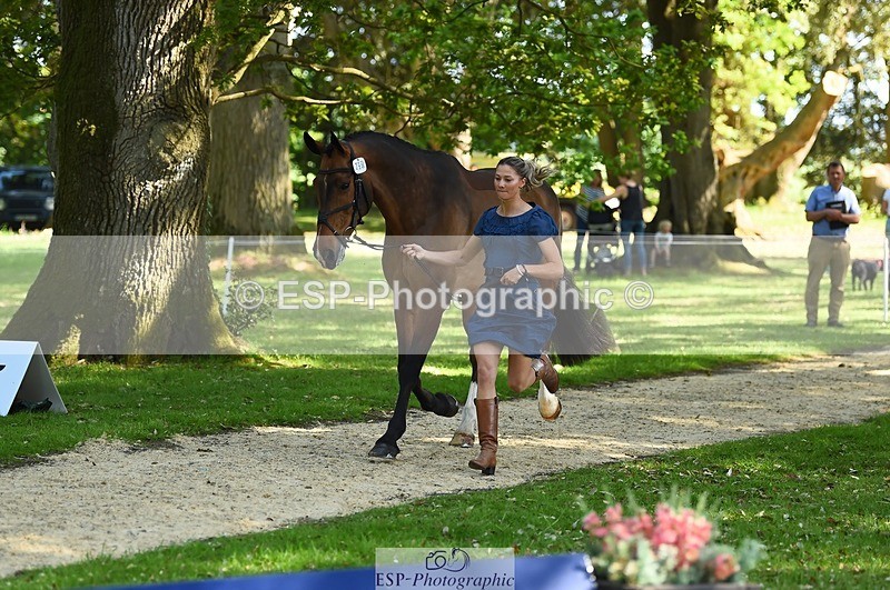 230524-161310-00764 - 256-ALS_RUSSIAN_ROLEX-Jemima_Howden-WEDTrotUp+DR