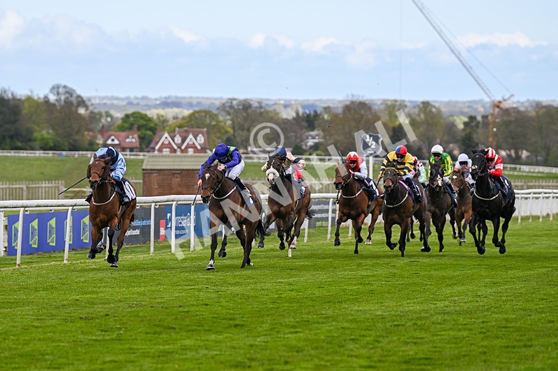 250424-Race 2-Dare To Hope-9262 - Race 2