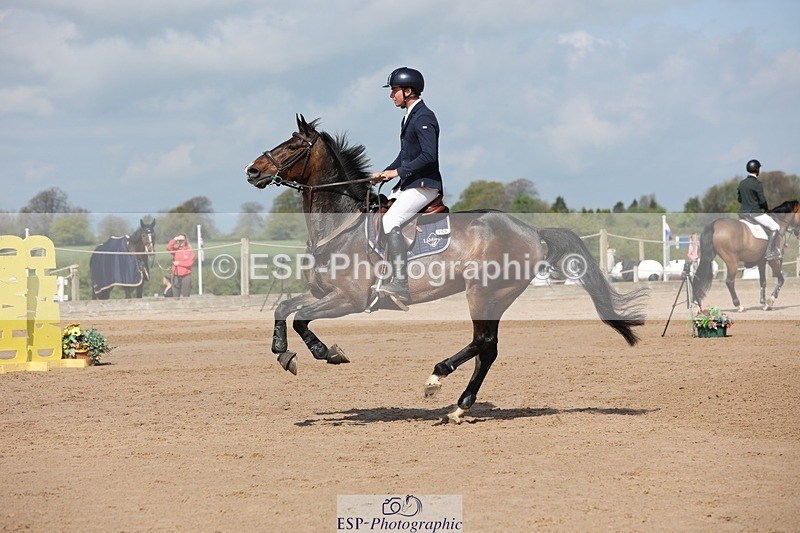 250427-105038-15646 - Cls 36 Young Horse 7yr old