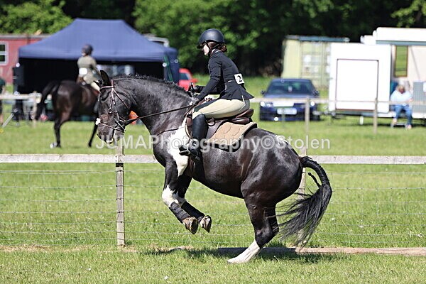 IMG_3837 - Working Hunter