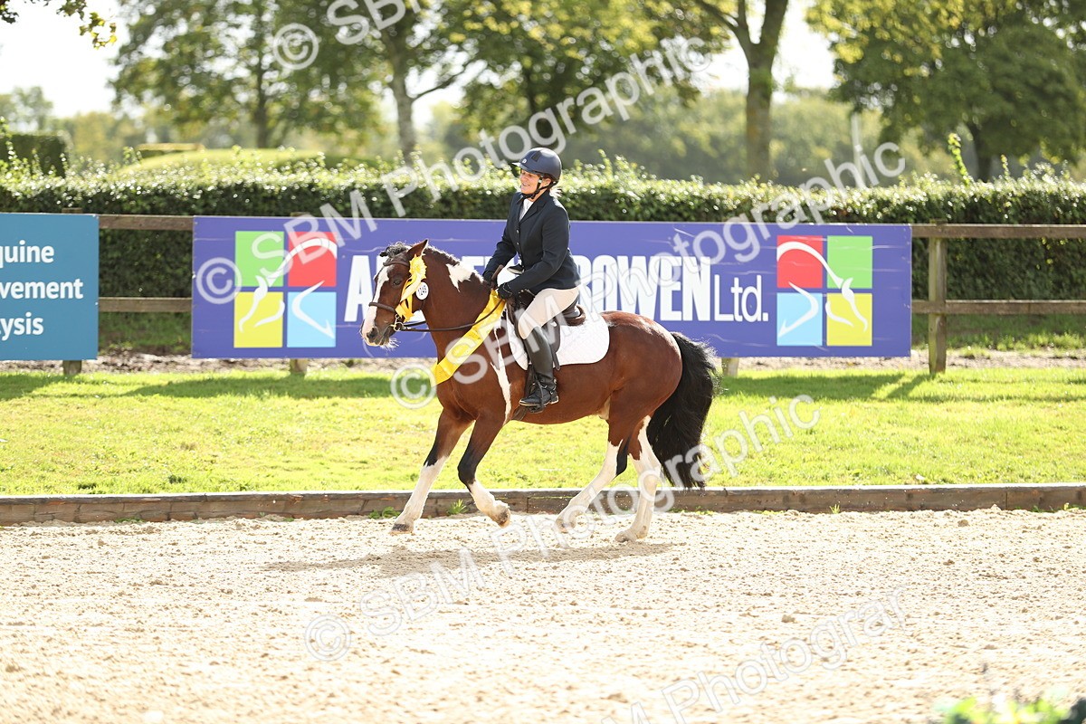 SBM_02058 - J34 - Veteran Rider 50cm