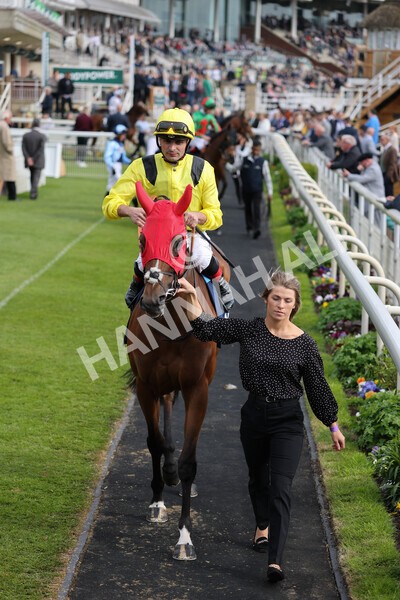yr13052022r7-15 - Race 7 5.15pm Longines Irish Champions Weekend Stakes
