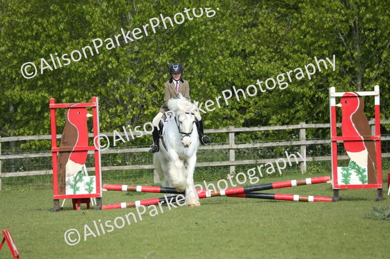 20260426-0137 - Class 13 - Rookie Jumping 50cm