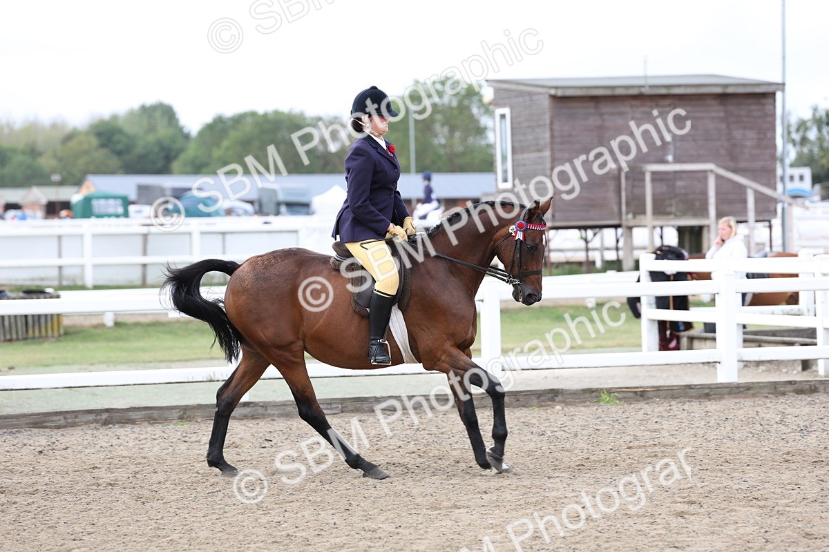 SBM_01484 - Class 52 - Ridden Veteran