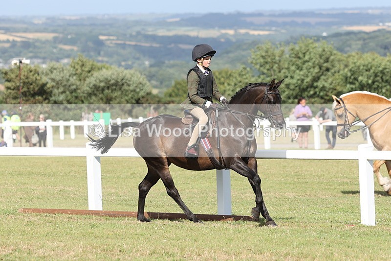 JPP_2902 - Class 20: Working Hunter 70cm