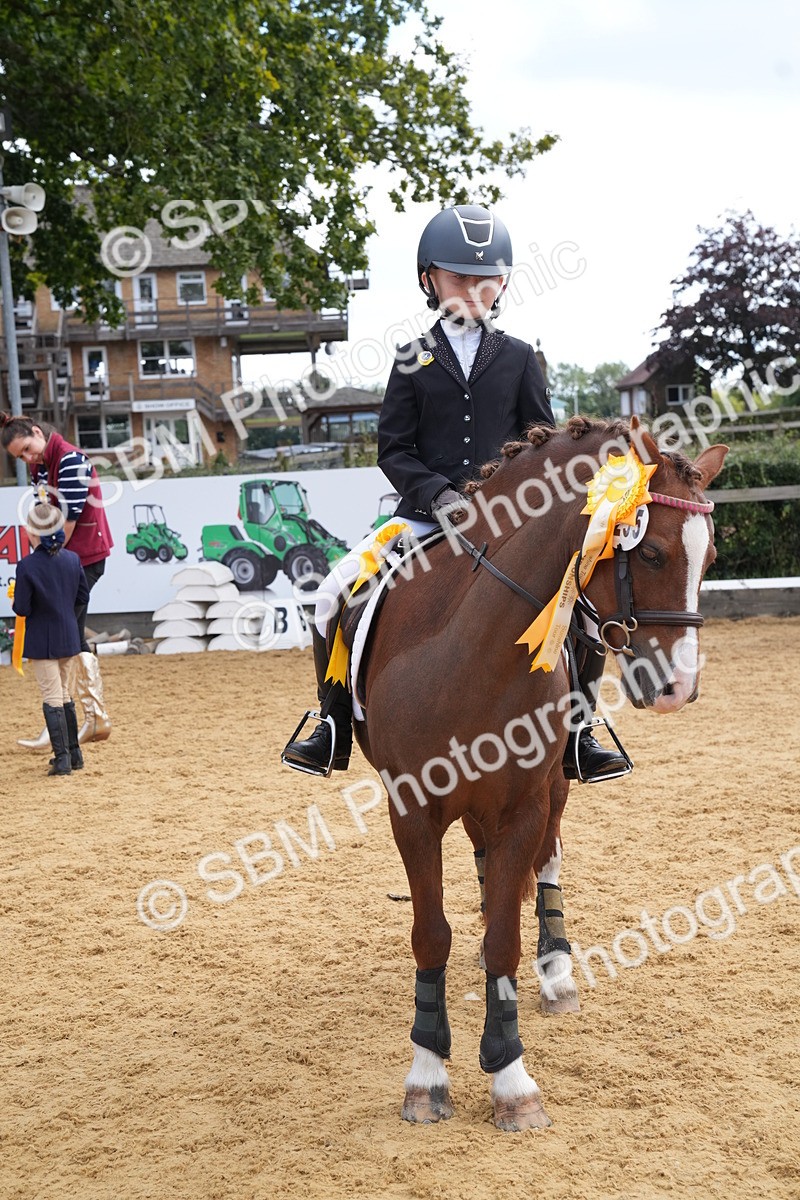 SBM_64549 - J2 - Mini Tour Junior Pony 30cm Championship