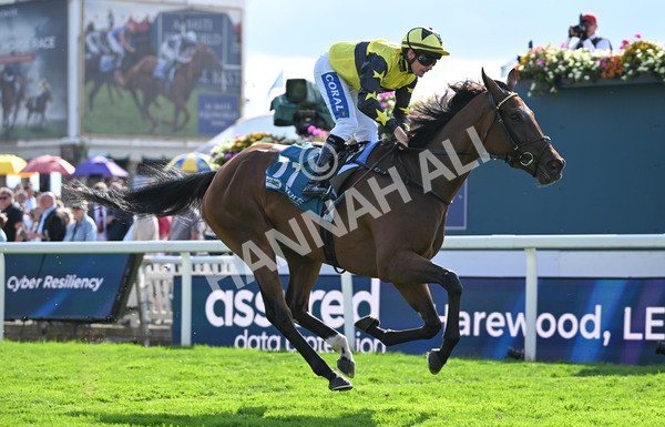 220825-222 Cape Flora - Race 5 4.10pm Assured Data Protection EBF Fillies' Handicap