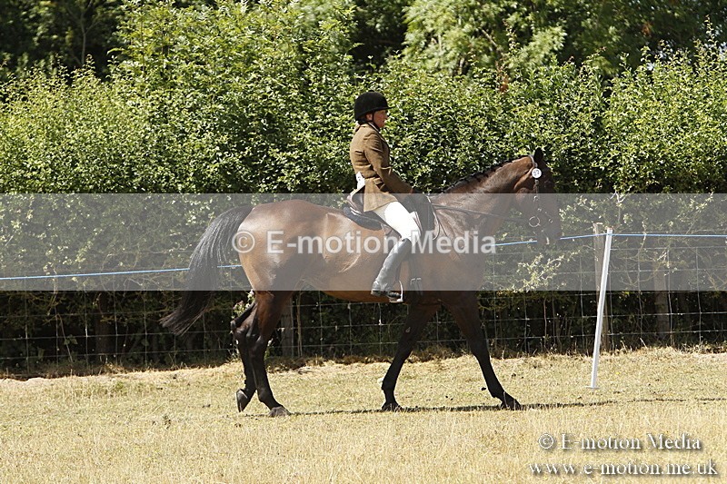 _BS_0712 - BVRC Show 2018 Ring 1