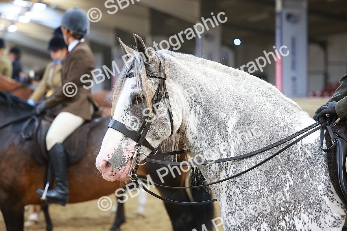 SBM_12500 - Class 103 - HOYS Veteran Qualifier - Ridden Pre Vet