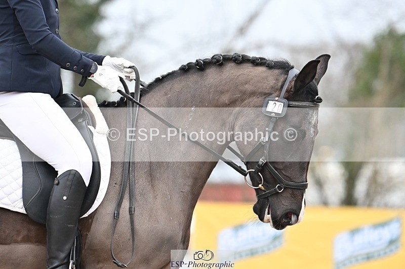 250216-095925-04531 - 120-saska.ingham-Fantasma