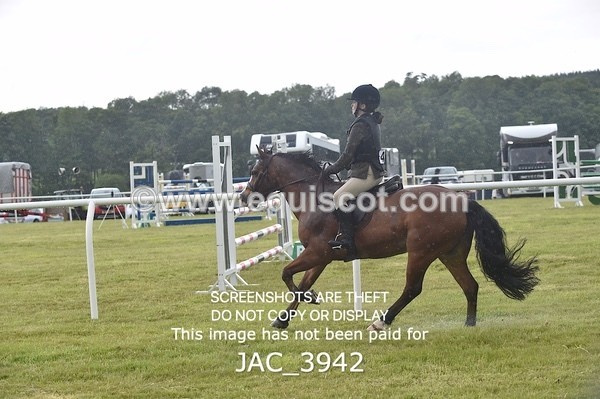 JAC_3942 - 55cm WORKING HUNTER