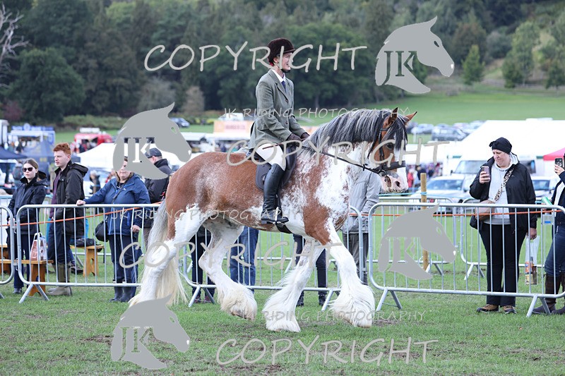 APP_3626 - Class 8 Ridden Class