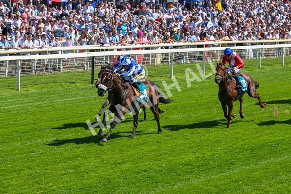 120725-Race 3-Fox Legacy-5683 - Race 3 3.10pm John Smith's Cup Handicap