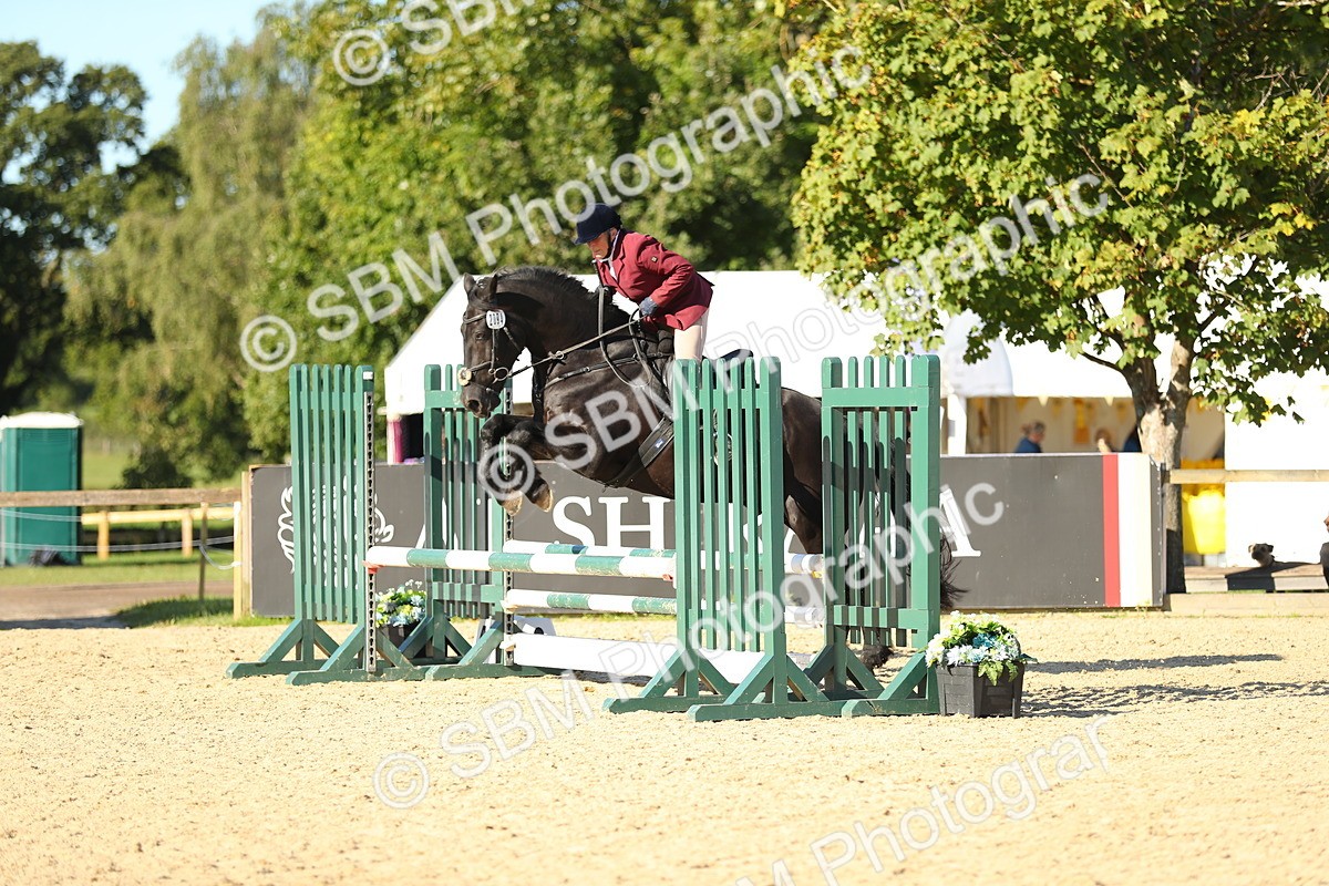 SBM_16605 - J33 - Senior 75cm Championship