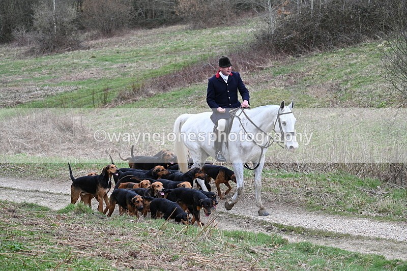 WJ7_7319 - Walk Home