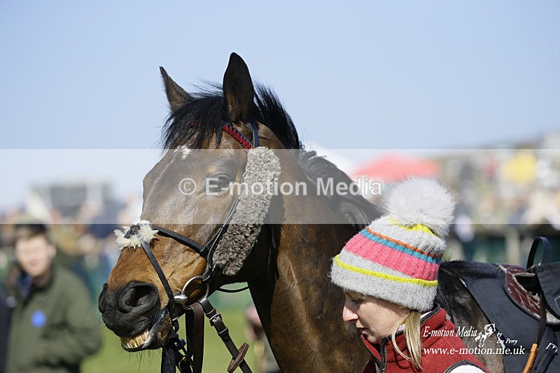 PtP 190322 348 - Wilton Hunt PtP Milborne St Andrew 19/03/22